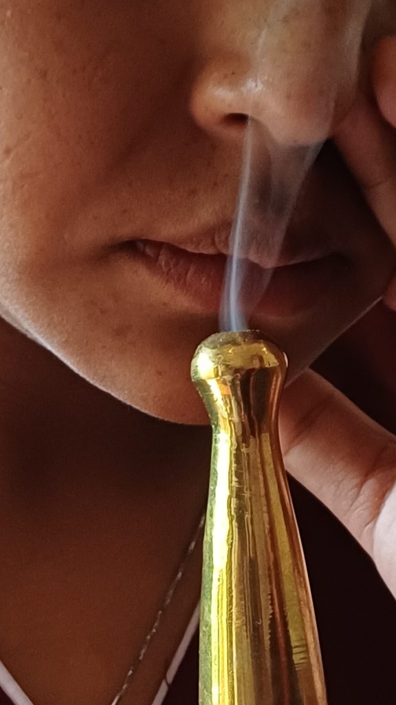 13 Nights 14 Days शोधन Detox Panchakarma Retreat