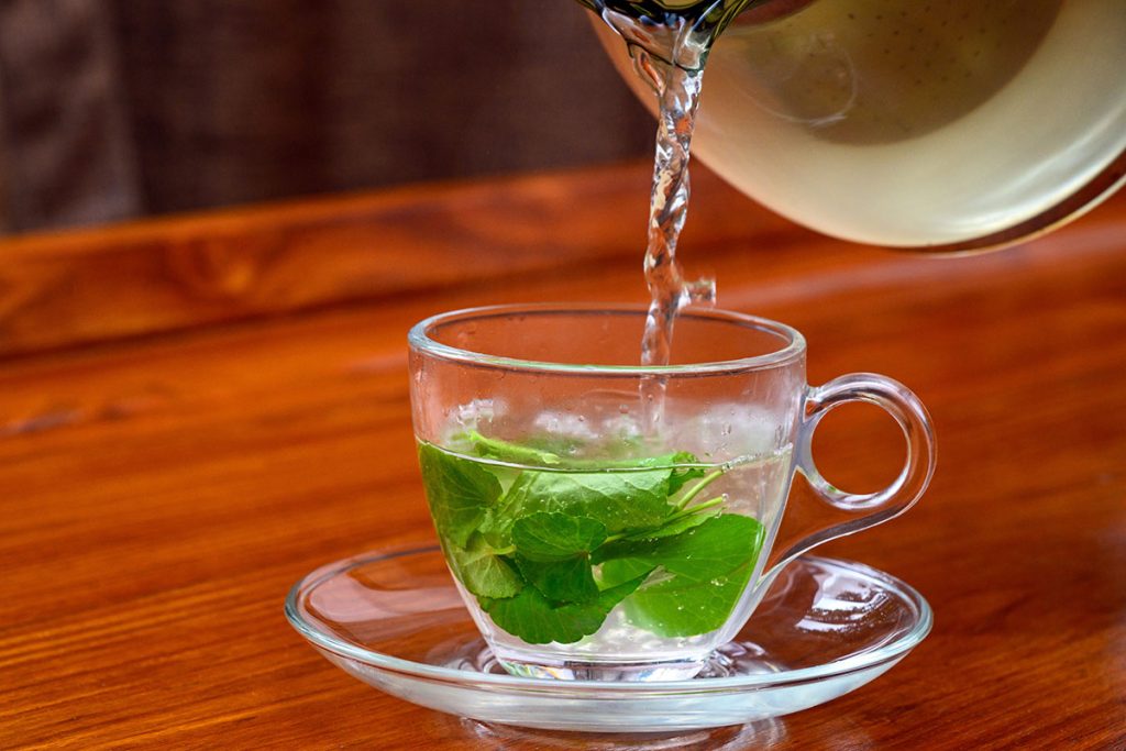 The Complete Guide to 21-Day Panchakarma: What to Expect at a Himalayan Wellness Retreat