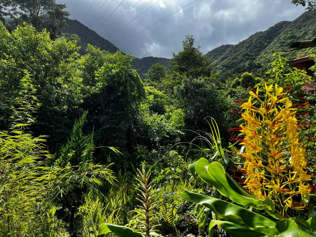 The “One Day” Sickness: How Your Greatest Dream Became Your Biggest Health Risk