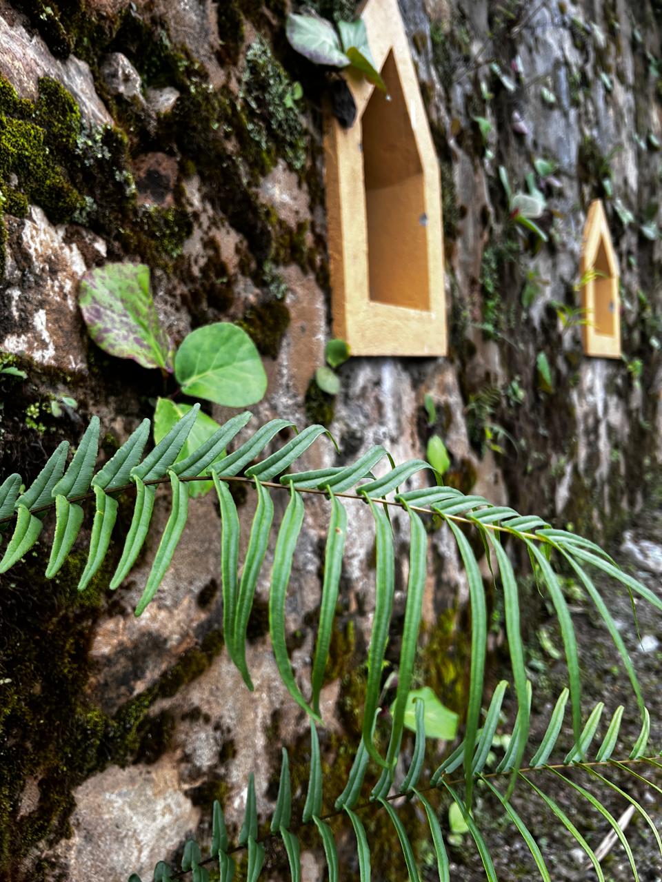 Vertical moss wall with sacred niches and natural greenery at Jungle Mahal Wellness Resort’s healing garden