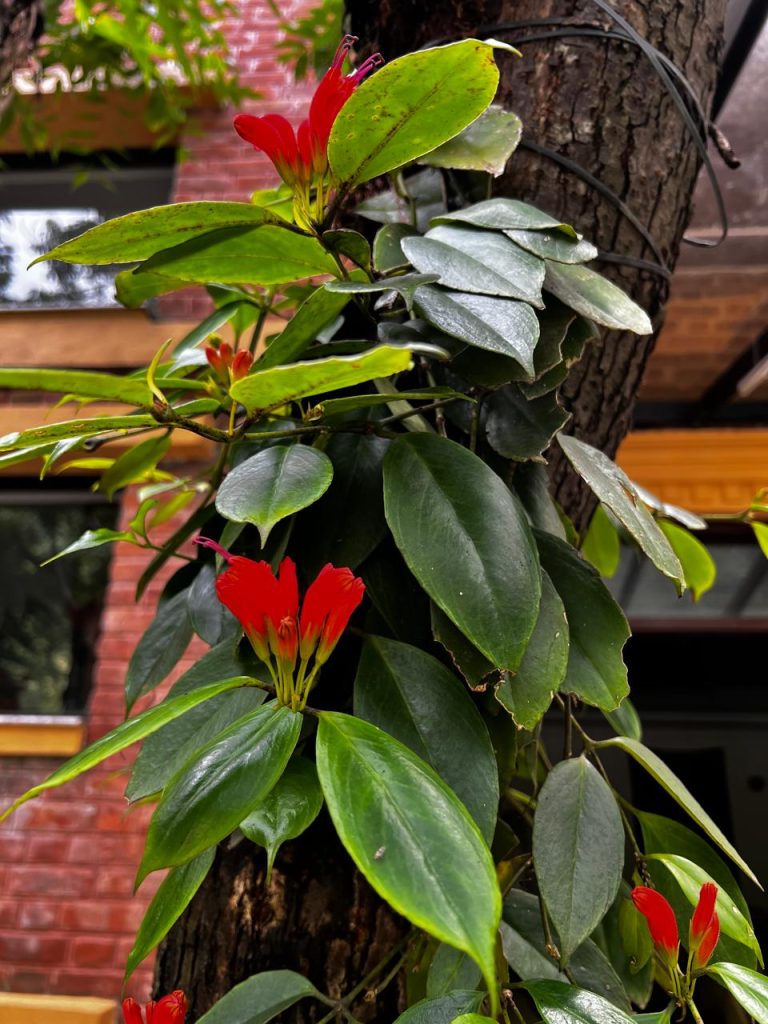 The Most Dangerous Lie the Modern World Taught You About Rest